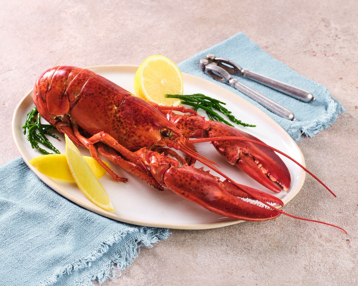 Sainsbury’s Taste the Difference Discovery whole lobster